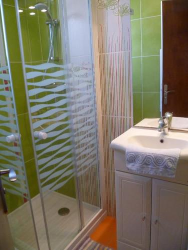 une salle de bain avec douche et lavabo dans l'établissement Vent de Terre, à Audierne