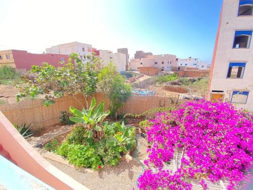 a garden with pink flowers on a balcony at Tigmi home in Mirleft