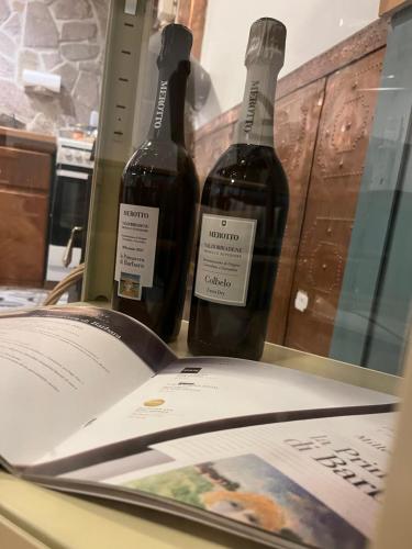 two bottles of wine sitting on a table with a book at Chata Alšovka in Měděnec