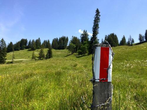 a pole in the middle of a field of grass at Ferienwohnung Brunni-Lodge am Grossen Mythen in Alpthal