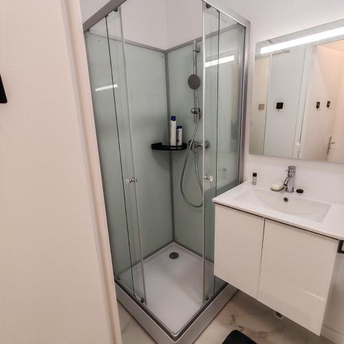 une salle de bain avec douche et lavabo dans l'établissement Jardin Briand, à Champigny-sur-Marne