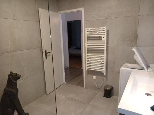 a dog is standing in a bathroom with a shower at LE LOFT, 2 chambres 85 m2, hyper centre, proche gare in Voiron