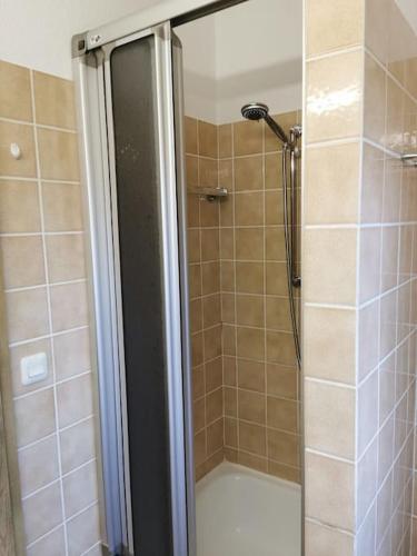 a shower with a glass door in a bathroom at Appartement am See in Haidmühle