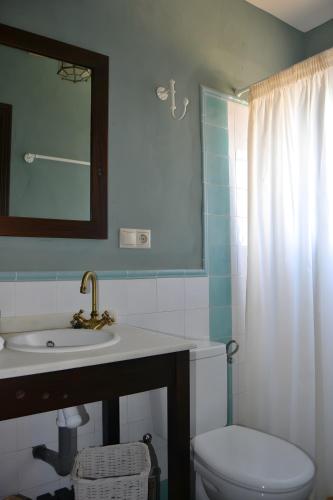 a bathroom with a toilet and a sink and a mirror at Casa Rural El Gamo in Fuente Obejuna