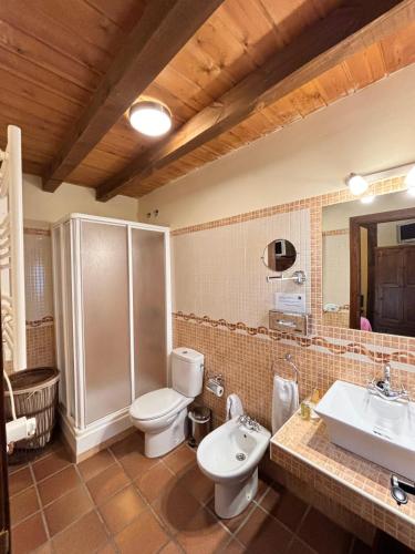 a bathroom with a toilet and a sink at Casa Rural Los Regajales in Tenzuela