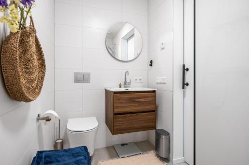 a bathroom with a toilet and a sink and a mirror at Appartementen aan het water in Heeg