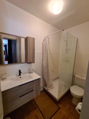 une salle de bain avec un lavabo, une douche et des toilettes dans l'établissement Praloup 1600 ideal famille, à Uvernet