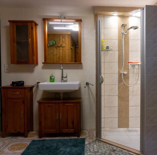 a bathroom with a sink and a shower at Ferienwohnung im Haus gelbe Lerche in Gockenholz