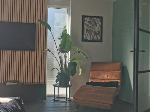 a living room with a potted plant and a chair at Prachtige vakantievilla aan IJsselmeer Makkum in Makkum