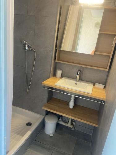 une salle de bain avec un lavabo, un miroir et une douche dans l'établissement Studio cabine avec vue mer - 3 personnes, au Cap d'Agde