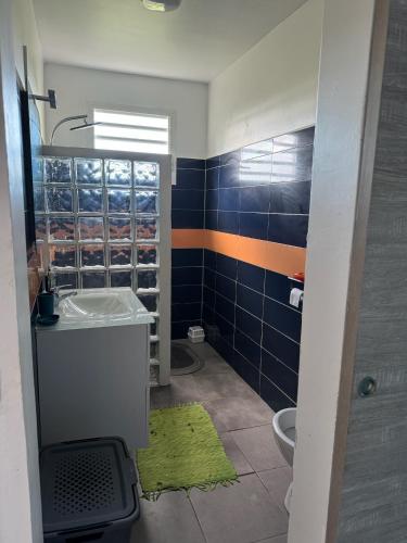 a bathroom with a sink and a toilet at colibris Location SAINTE-ANNE in Sainte-Anne