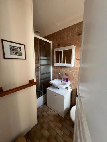 une salle de bain avec un lavabo et une douche dans l'établissement Les Hirondelles, à Saint-Florentin