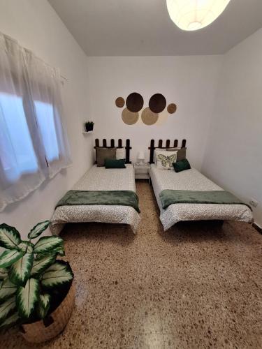 a bedroom with two beds and a potted plant at Finca Esther in Las Palmas de Gran Canaria