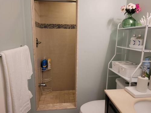 a bathroom with a shower with a toilet and a sink at Cozy and comfy Studio Apartment in Richmond Hill