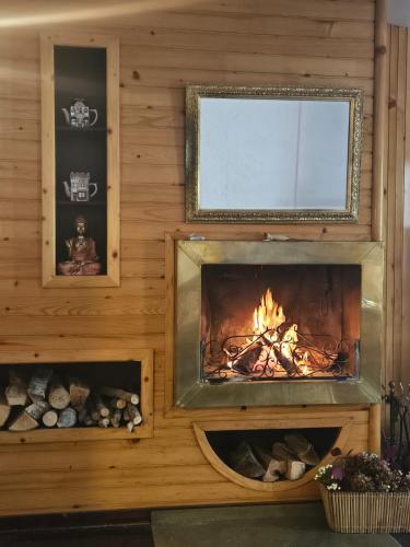 a fireplace in a wooden wall with a fire in it at Residence Dei Medici-La casa nel parco in Pescasseroli