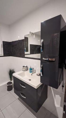 une salle de bain avec un lavabo et un miroir dans l'établissement Nid cosy à Fresnes-sur-Marne, à Fresnes-sur-Marne