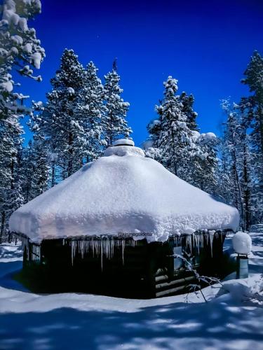 a cabin covered in snow with trees in the background at Aurora Camp Kurravaara in Kurravaara
