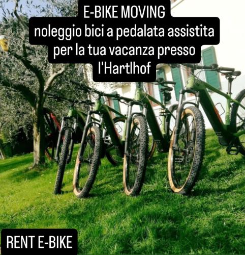 a row of bikes parked in the grass at HartlHof in Proves