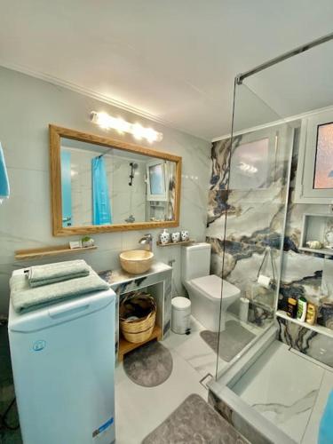 a bathroom with a shower and a sink and a toilet at Kalimera Apartment in Kalymnos