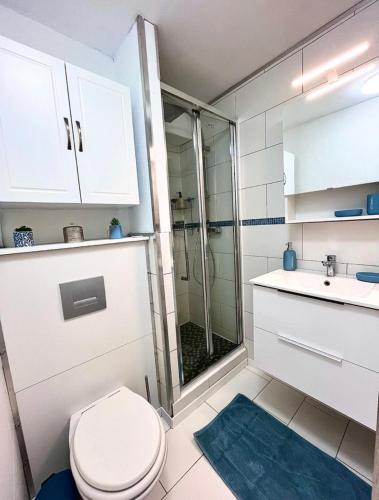 une salle de bain avec une douche, des toilettes et un lavabo dans l'établissement Le rêve bleu de Jeanne et Marie-vue mer, à Cucq