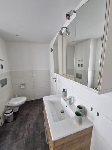 マイセンにあるFerienwohnung Ines Wolf in der Meißner Innenstadtの洗面台とトイレを備えた白いバスルーム