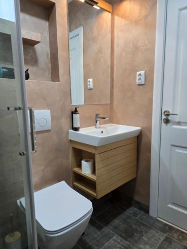 Ένα μπάνιο στο SaGa Apartament