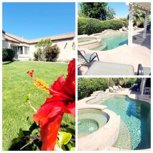 a collage of pictures of a yard with a swimming pool at Bikini & Martini on Palm Meadows Drive in Indio