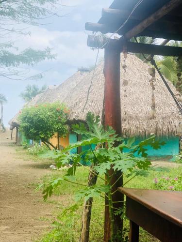 Zahrada ubytování Hotel Rancho Tranquilo Beach