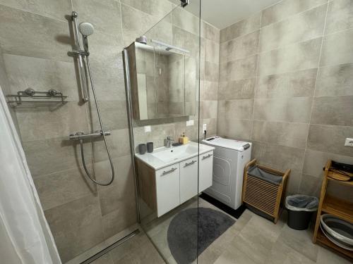 a bathroom with a shower and a sink and a toilet at Apartments Villach in Villach