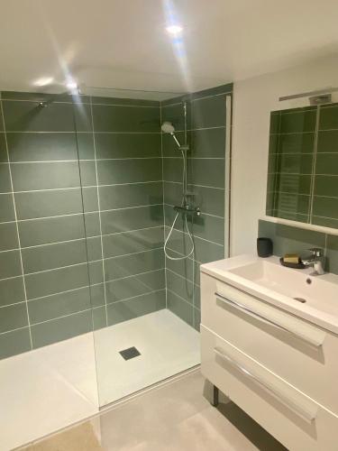 une salle de bain avec douche et lavabo dans l'établissement Le carolo, à Tournes