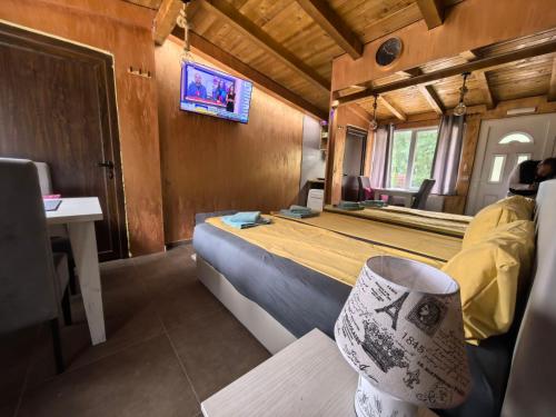 TV a/nebo společenská místnost v ubytování Odmaraliste Kod Mice Apartman 5