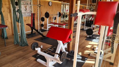 Fitness centrum a/nebo fitness zařízení v ubytování Odmaraliste Kod Mice Apartman 5
