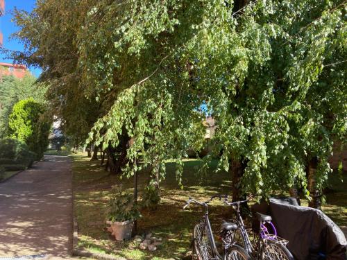 a group of bikes parked under a tree at Casa Chiara tra Saronno e Milano in Saronno