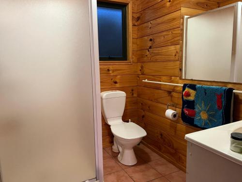 a bathroom with a toilet and a sink and a mirror at Picturesque Waikawa - Picton Holiday Home in Picton