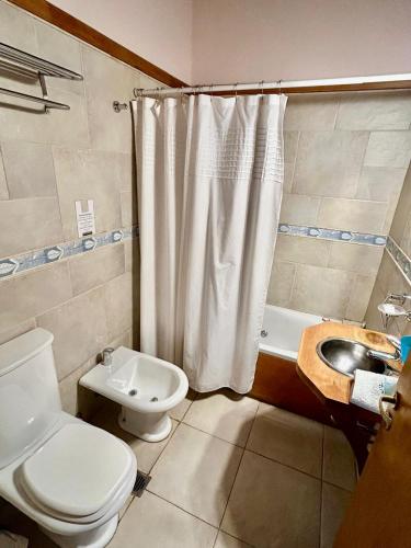 a bathroom with a toilet and a sink and a shower at Apart Hotel Orilla Mansa by Visionnaire in San Martín de los Andes
