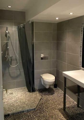 une salle de bain avec toilettes, douche et lavabo dans l'établissement Maison Contemporaine vue Mont Ventoux, à Entrechaux