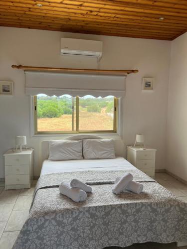 a bedroom with a large bed with two towels on it at Erini Villa in Protaras