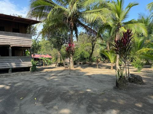 a park with two palm trees and a bench at HOSPEDAJE DOÑA NEL in El Valle