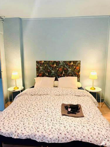 une chambre avec un grand lit et deux lampes dans l'établissement Design and luxe hyper centre, à Bordeaux