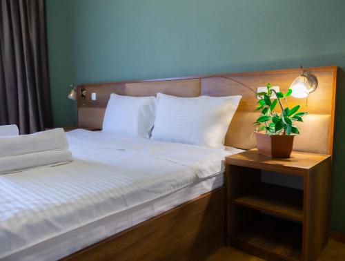 a bedroom with two beds and a potted plant on a table at Hotel Horizont Telavi in Tʼelavi