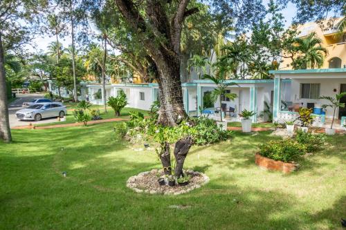 a tree in a yard in front of a house at Room #28 at Waterfront Playa Alicia in Sosúa