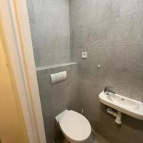 a bathroom with a white toilet and a sink at MINATO Apartments Ostrava center in Ostrava