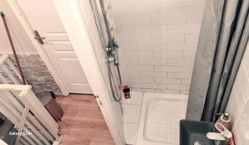 La salle de bains est pourvue d'une douche, de toilettes et d'une porte. dans l'établissement Chambre meublée dans une maison haut de gamme avec jardin proche métro, à Châtillon