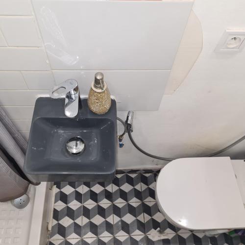 une salle de bain avec un lavabo et des toilettes dans l'établissement Chambre meublée dans une maison haut de gamme avec jardin proche métro, à Châtillon