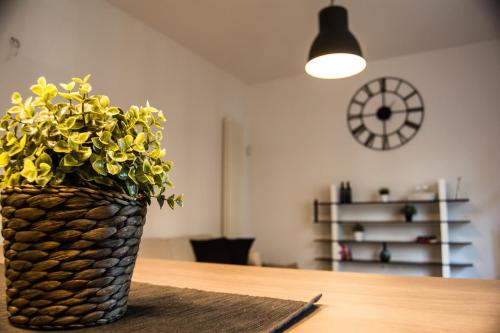 Home In City photo 14