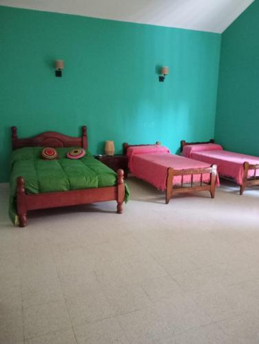 three beds in a room with green walls at Sauces Las Chacras in Juana Koslay 