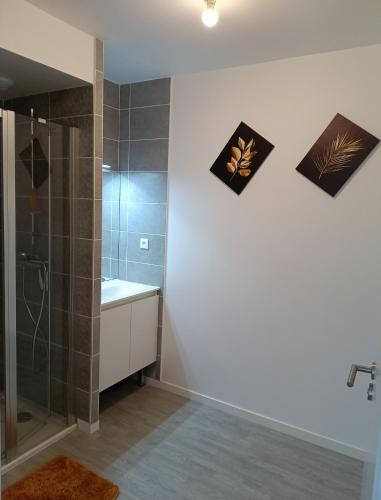 une salle de bain avec douche et lavabo dans l'établissement Ma vie Mes règles Mon havre de paix à 45 mn de Paris, à Dreux