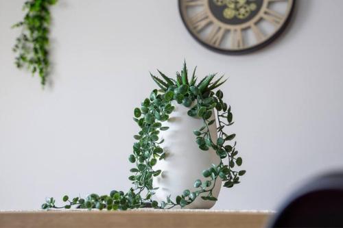 a plant in a white vase next to a clock at Kazalika in Marigot