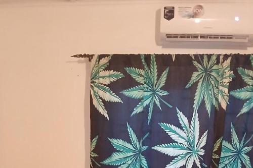 a room with a shower curtain with a fan at Beautiful 1-Bedroom in St Thomas Jamaica in Belfast