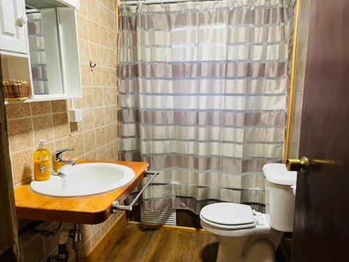 a bathroom with a sink and a toilet and a shower at Las Cabañas del Lodge in Villa Santa Lucía